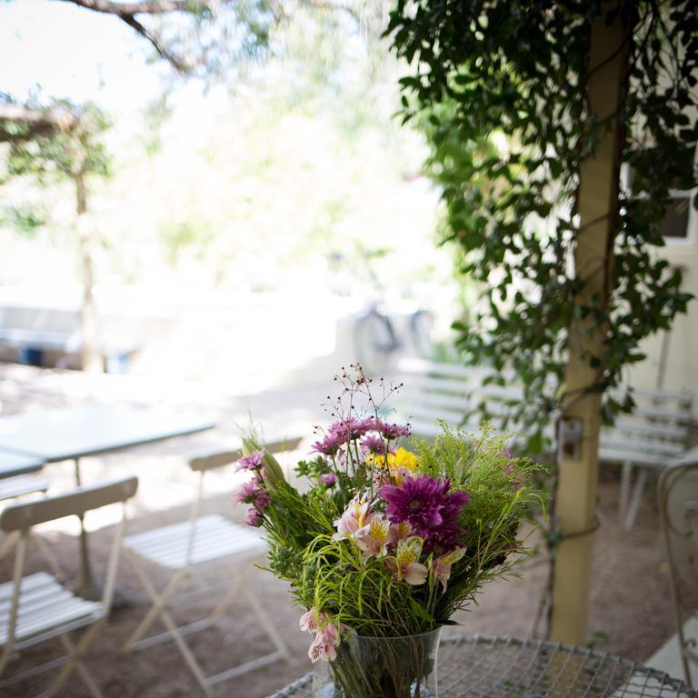 Prince Albert Country Stay Екстериор снимка