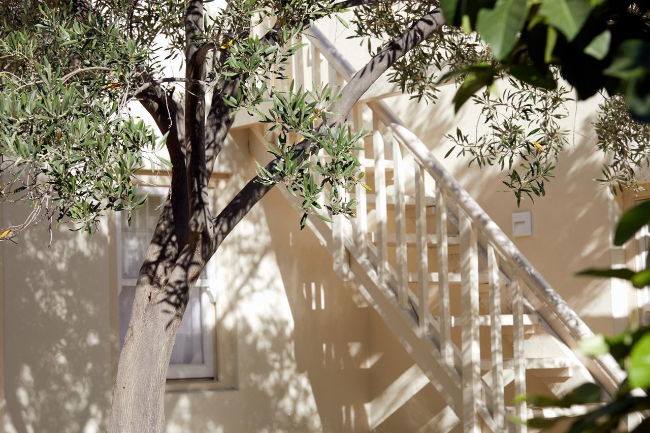 Prince Albert Country Stay Екстериор снимка